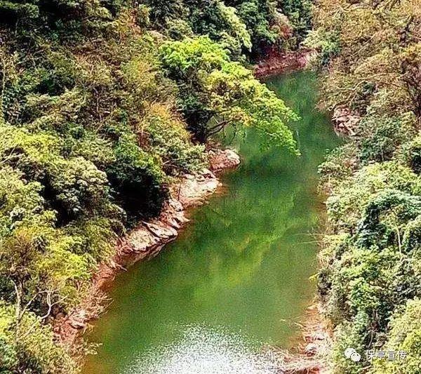 蒸汽时代的公主